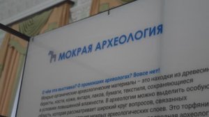Документальный фильм | Cтудвесна