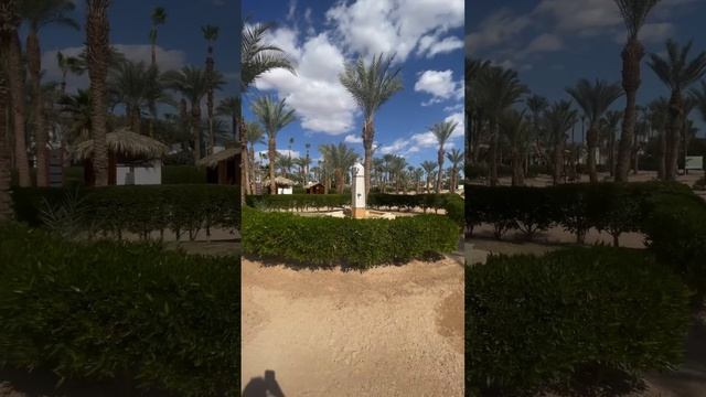 Jaz Sharm Dreams. Пляж отеля смотреть онлайн