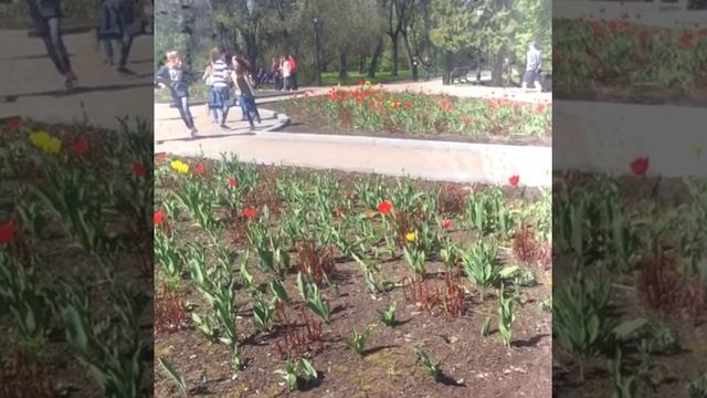 Поездка в Екатеринбург. Слайд видео на память.