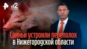 Перестрелка в Дербенте: ранен полицейский, подозреваемый уничтожен / 112