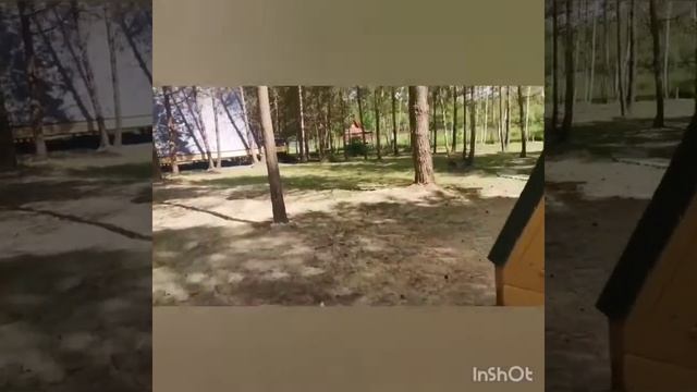 Афрейм домики в Орловском Полесье