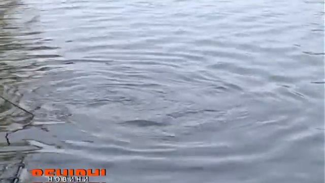 У Журавлівському гідропарку відбулися навчання водолазів смотреть онлайн