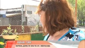 Хоккейная коробка сад