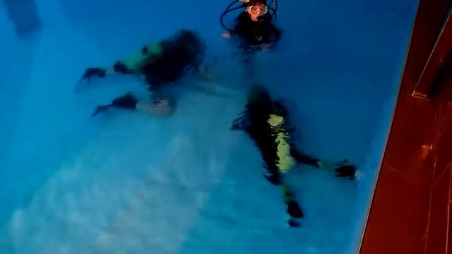 Детский дайвинг (Первые шаги) часть 4 смотреть онлайн