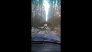 Путешествие по лесу.Нива и Уаз.