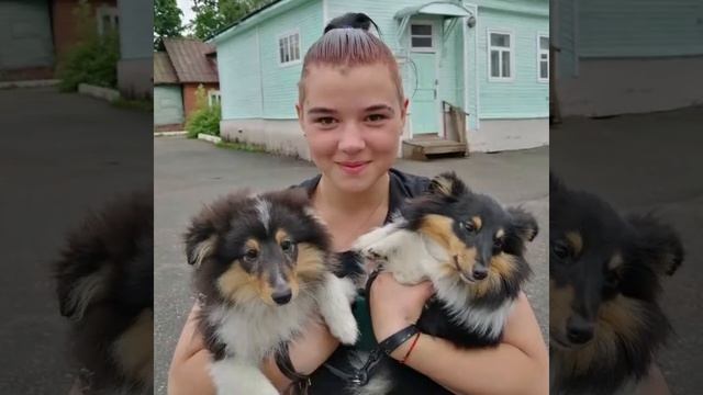 Как это всё начиналось. смотреть онлайн