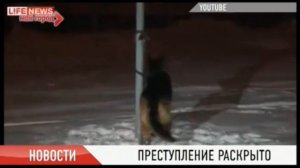 Мужчина убил ребенка из-за ссоры с матерью