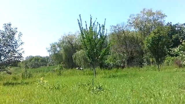 летом в деревне или сельский туризм смотреть онлайн