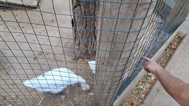 Парк отель Русский. Дракино, Московская область смотреть онлайн