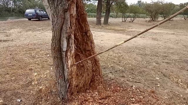 Попали в лес в первые дни осени.славим палатку, и рака ловки. Кидаем копье. смотреть онлайн