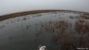 ОХОТА НА ГУСЯ 2024. ВЕСЕННЯЯ ОХОТА В ВОЛГОГРАДСКОЙ ОБЛАСТИ.