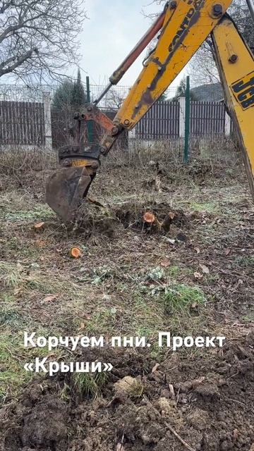 Корчуем пни. Проект «Крыши», Узунджа.