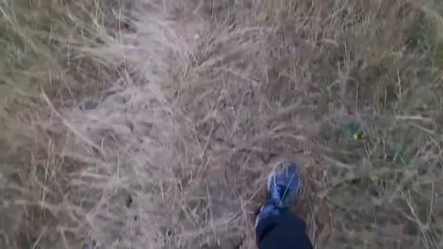 Пробуем стрелять из блочного лука и что из этого вышло| Стрельба из лука в первый раз смотреть онлайн