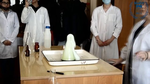 Юбилейные «Дни науки факультета МиЕН» состоялись! смотреть онлайн