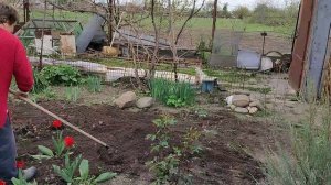 Немного поработали. Определились с сараем. Жизнь станичная.
