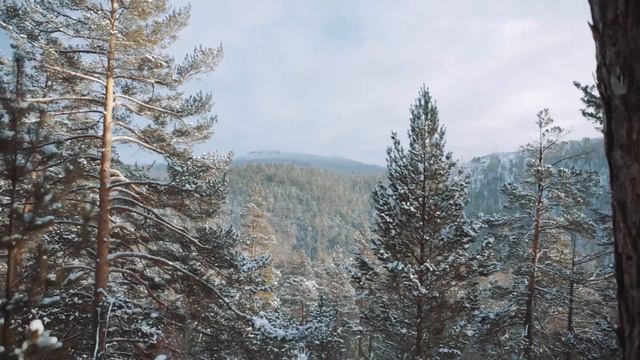 Наука выживать с Эдом Халиловым.