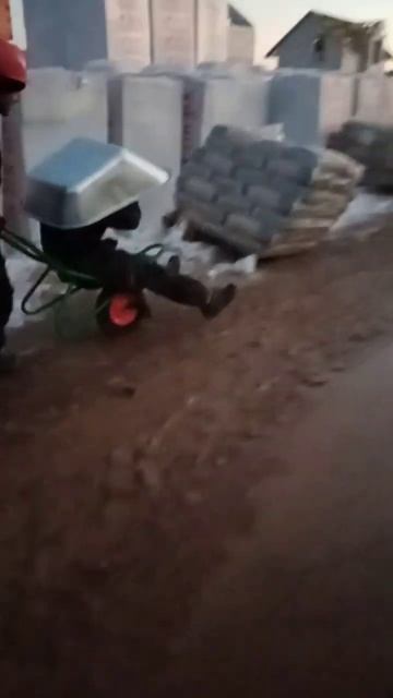 #приколы#кабриолет#работа#кровля#кладка#тачка#дурдом#? смотреть онлайн