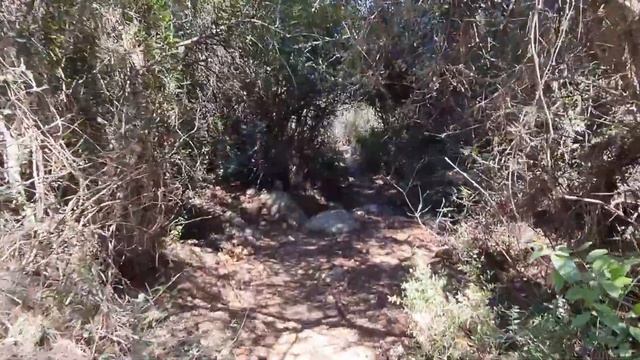 Патара Калкан |День #10 смотреть онлайн