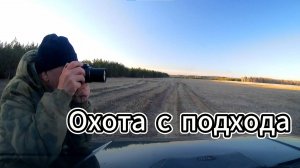 Охота с подхода весной