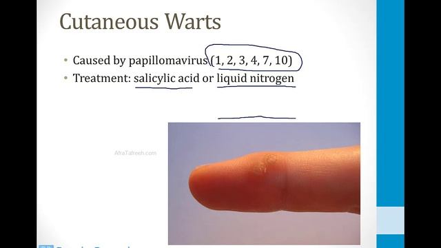 Infectious Diseases - 6. Viruses - 2.DNA Viruses atf