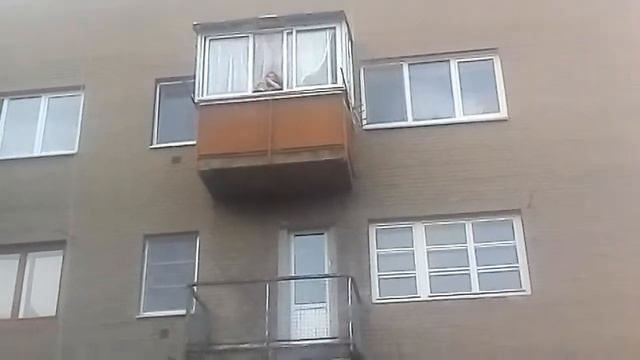 Скинули пакет с водой 3 этажа смотреть онлайн