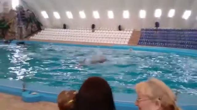 Харьковский дельфинарий НЕМО. Начало. смотреть онлайн
