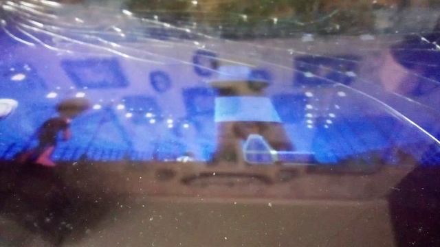 Паучок и его друзья. Команда паучков спасает осьминожку Спрутика от доктора осьминога.