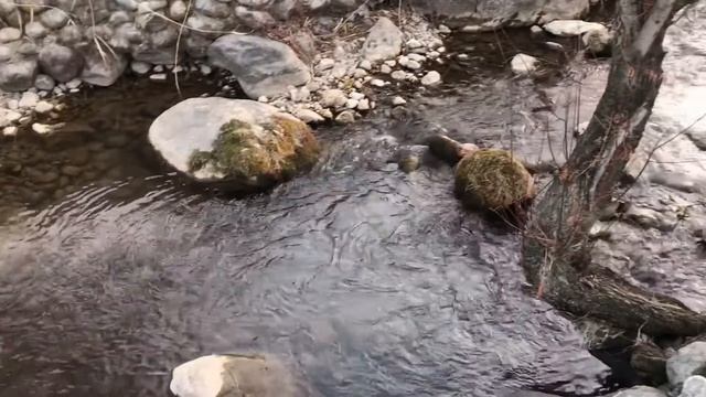 Горы Февраль