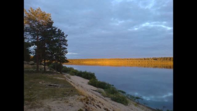 КОМИ смотреть онлайн