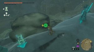Zelda: Tears of the Kingdom Серебряный левр