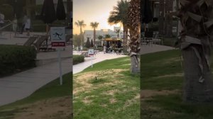 Египет отель Swissotel 5 звезд. Отдых июнь 2024. Шарм-эль-Шейх .