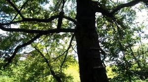 Река Высса в селе Воротынск