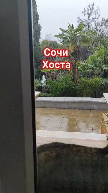Сочи Хоста сегодня #хоста #сочиотели #отель #новыйгод #сочисегодня