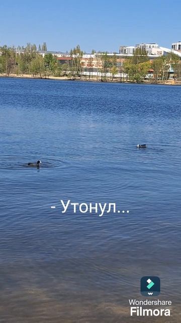 #ПаркАлыепаруса#парки#веснавпарке#виднареку#виднаводу#сосны#природа#прогулкав парке#отдыхвпарке#уточ