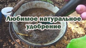 Лучшее деревенское удобрение