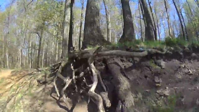 Спорт, активный отдых смотреть онлайн