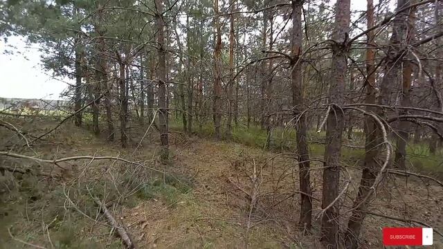 ПОЧЕМУ МЫ ОСТАЛИСЬ ЖИТЬ В ПАЛАТКЕ?! УЕХАЛИ ЗА 200КМ #металлокоп смотреть онлайн