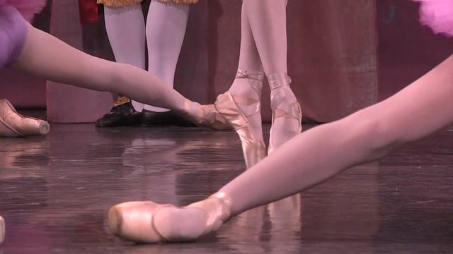 Teatrul de Balet Sibiu,Frumoasa din padurea adormita смотреть онлайн