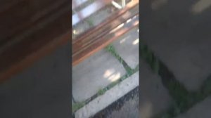 Аквапарк АЛАТАУ #3