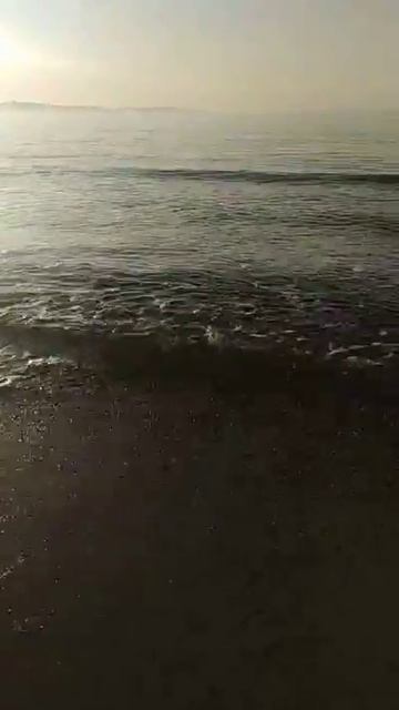 Бухта Рифовая смотреть онлайн