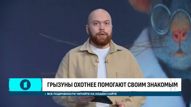 Проблемы слуха из-за наушников | Роботы будущего | Мыши спасатели | Полет аэромобиля. Технополис