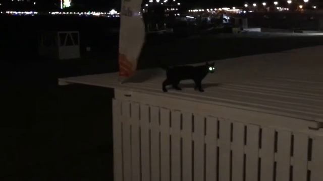 Кемпински 10 лет. смотреть онлайн