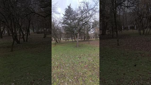 1000322385.mp4 НАЛЬЧИК- март 2024..мои прогулки