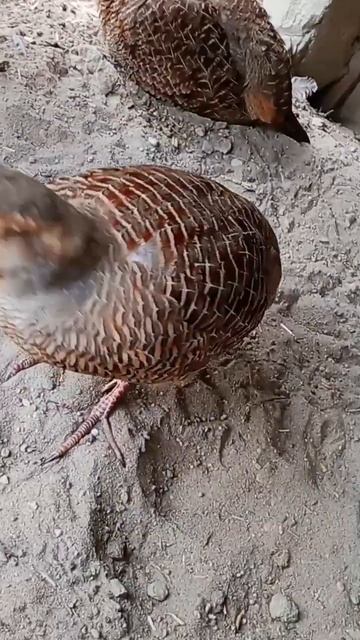 May 29, 2023 смотреть онлайн