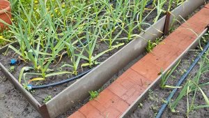 как сделать грядки из цсп Новосибирск 8 (903) 901-69-21?