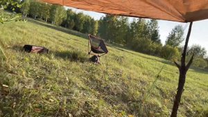 Обзор двухместной очень легкой палатки от GeerTop Pyramid 2 plus