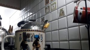 Эксперимент с теплопроводностью