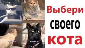 Приколы! ВЫБЕРИ СВОЕГО КОТА! МЕМЫ!!! Смешные видео от – Доми шоу!