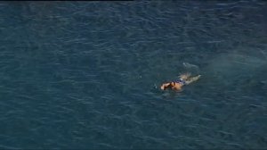 Прыжки в воду со скалы Дива Симеиз.Крым  2017 г.