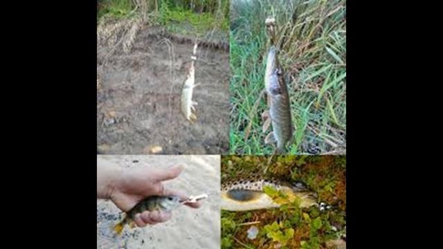 #Спорт и Отдых, # Sports and Recreation смотреть онлайн